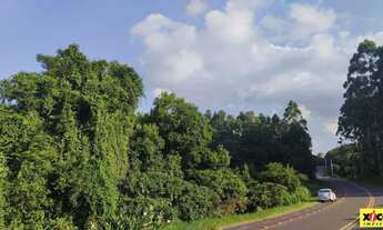 Imagem 6: Sítio / Chácara para Venda em Nova Petrópolis, Canto Ruckert