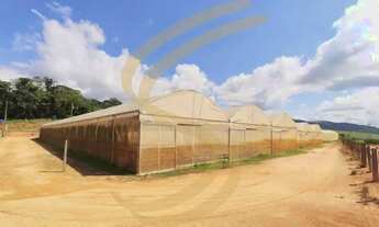 Imagem 5: Chegou a oportunidade que você esperava para investir no agronegócio!