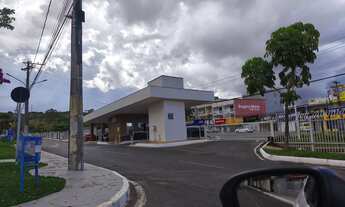 Imagem 4: Casa jardim América 4 quartos