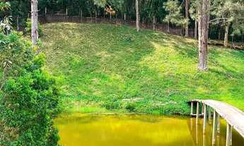 Imagem 5: TERRENOS EM IBIÚNA-SP