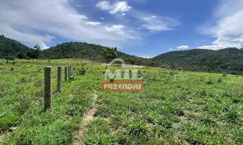 Imagem: Fazenda 221 alqueires (1.069 hectares) Uruaçu