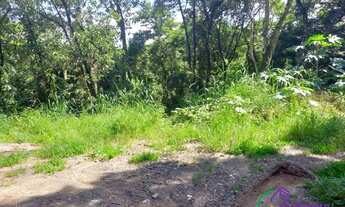 Imagem 4: TERRENO - VISTA ALEGRE - SP