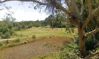 Imagem 3: Sitio com 10 hectares de porteira fechada na região da praia grande na cidade de