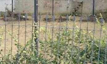 Imagem: Terreno em via rápida no Bacacheri