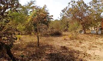 Imagem 6: Chácara de 5 mil M² no condomínio águas claras na região da cidade da Guia MT