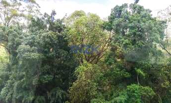 Imagem 5: Apartamento de 135m enfrente ao Parque Aclimação