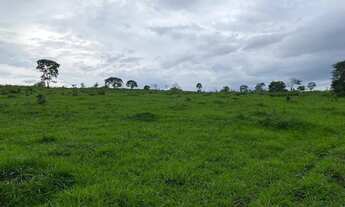 Imagem 5: Chácaras de 20mil mt em maripotaba última unidade!