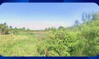 Imagem: LOTE - Lotes 08 ao 10, Quadra 12, Rua L