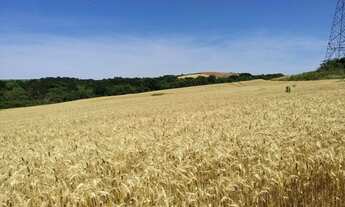 Imagem: Área rural top 300 ha dentro da cidade