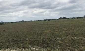 Imagem 6: Fazenda de 1050 hectares Bonfim/RR, ler descrição do anuncio
