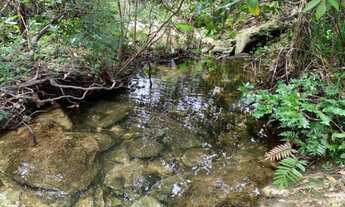 Imagem 6: Fazenda de 122 ha, nascente de água cristalina (Temos varias opções)