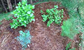 Imagem 7: Casa à venda no Condominio Fechado em Campos do Jordão - SP