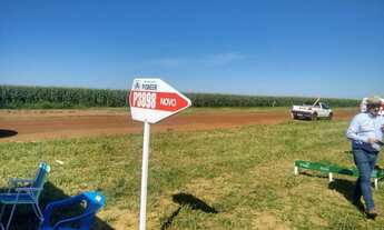 Imagem 2: Fazenda/Sítio/Chácara para venda com 33 metros quadrados com 10 quartos