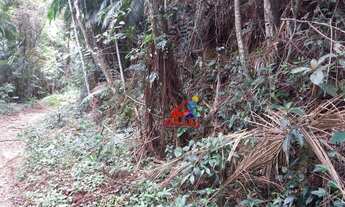 Imagem 4: Terreno à venda, 5200 m² por R$ 250.000,00 - Fazenda Boa Fé - Teresópolis/RJ