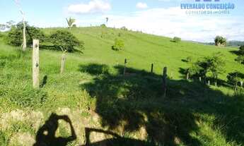 Imagem 5: Itapé - Fazenda