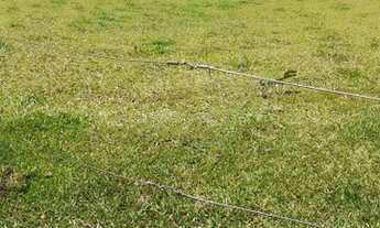 Imagem: Fazenda/Sítio/Chácara para venda com 1597200