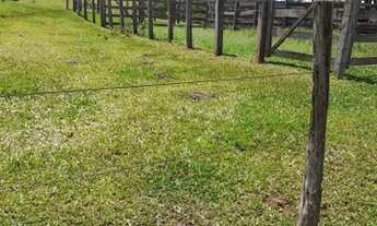 Imagem 7: Fazenda/Sítio/Chácara para venda com 1597200 metros quadrados com 3 quartos