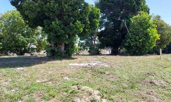 Imagem: Lote no Granville