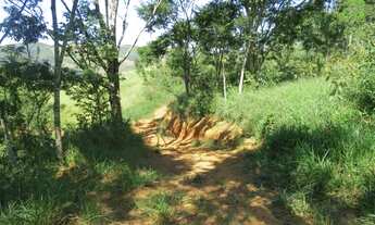 Imagem 5: Linda área São Francisco Xavier /Rio do peixe