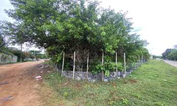 Imagem 3: Terreno para Venda em Camaçari, Itacimirim (Monte Gordo