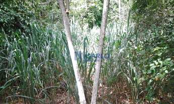 Imagem 5: À venda terreno 2204m² Manguinhos, Serra ES