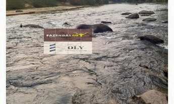 Imagem 3: Oportunidade ! Fazenda Extra Região de Iporá ! 32 Alqueires !