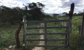 Imagem 5: Fazenda/Sítio/Chácara para venda com 700 ta ou 2.117,500 metros quadrados em Centro - Laga