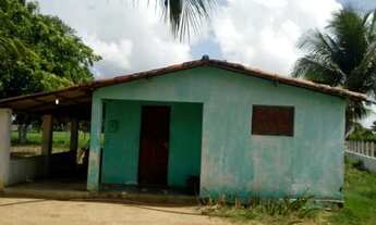 Imagem 2: Granja com 2.5 hectares entre brejinho e monte alegre estruturada