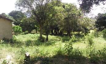 Imagem 5: FAZENDA A VENDA Fazenda / sítio com venda por R$4.960.000