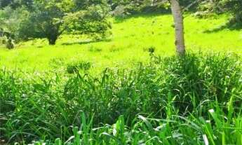 Imagem 4: FAZENDA, 280 TAREFAS BAIANA, CAPIM, BARRAGEM SANTA HELENA