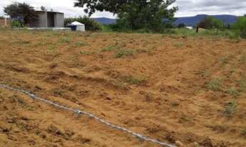 Imagem: LOTE NO SARGENTO PROXIMO A FACULDADE DE