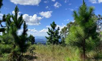 Imagem 3: A MAIS BELA VISTA DA REGIÃO SERRANA! TERRENO COM PLATÔ!
