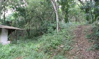 Imagem 6: Vargem Grande Terreno de 14.700m2 RGI individual