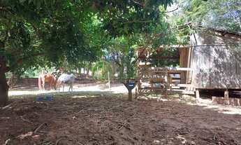 Imagem 6: Venda: Excelente chácara perto de Bauru