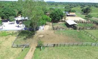 Imagem: A melhor Fazenda da Regiao de Cocalhomho