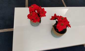 Imagem 4: Apartamento MOBILIADO com 2 quartos em Ponta Negra - Natal - RN