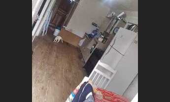 Imagem 6: Casa parque fragata