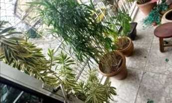 Imagem 5: Venda Apartamento com 2 dormitórios