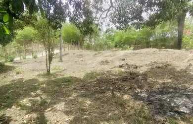 Imagem 3: Venda ou troca Chácara com venda por R$80.000