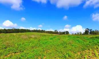 Imagem 4: Lote/Terreno para venda com 500 m² Cotia - SP