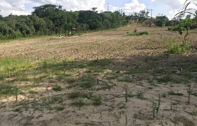 Imagem 2: Excelente Propriedade