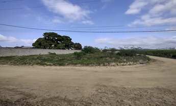 Imagem 2: Lote/Terreno para venda possui 588 metros quadrados em São Mateus - São Pedro da Aldeia