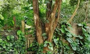 Imagem 3: Maravista 2 lotes juntos com total 894 m2 em ótimo local