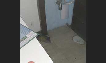 Imagem 5: * Alugo Loja em Brotas! *