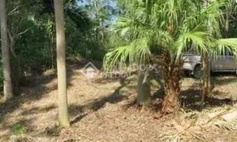 Imagem 6: GAROPABA - Terreno Padrão - Siriu