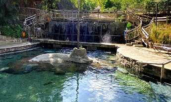 Imagem 2: Vendo Sócio Vitalício da Pousada Rio Quente