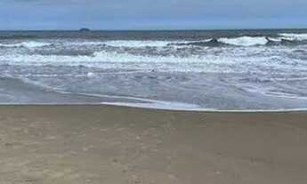 Imagem 6: Terreno documentado Balneario Beltrami