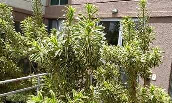 Imagem 2: Alugo excelente apartamento de 02 quartos no Bairro Trevo