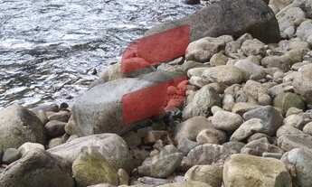 Imagem 4: CHÁCARA com 2 dormitórios à venda com 16000m² por R$ 320.000,00 no bairro Rio do Nunes - A