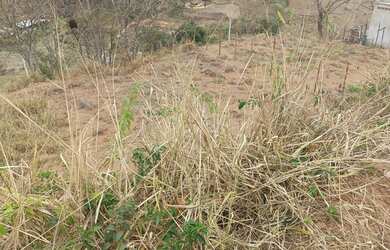 Imagem 6: Lote na cidade de Iapu MG,Vendo ou troca por veiculo, Loteamento Cidade Nova